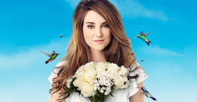 The secret life of the american teenager season 2 123movies deals