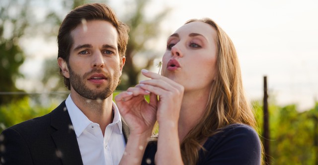 Miłość w Harmony Valley