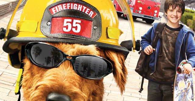 Firehouse Dog