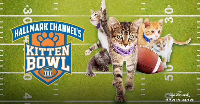 Kitten Bowl III