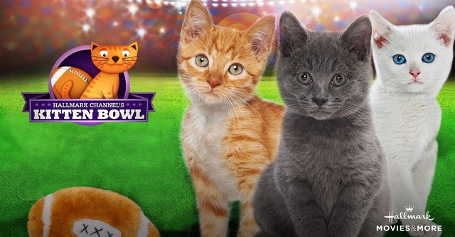 Kitten Bowl