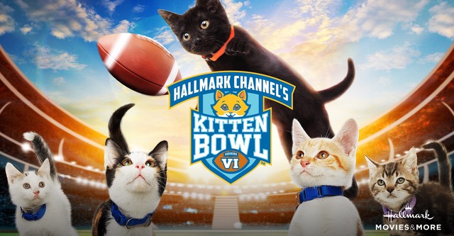 Kitten Bowl VI