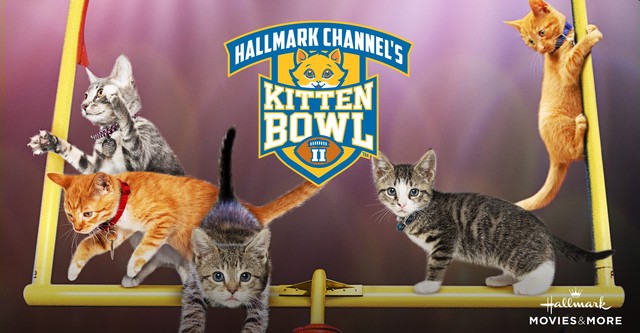 Kitten Bowl II