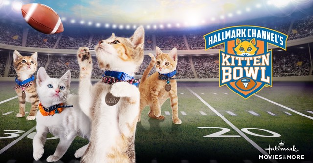 Kitten Bowl V