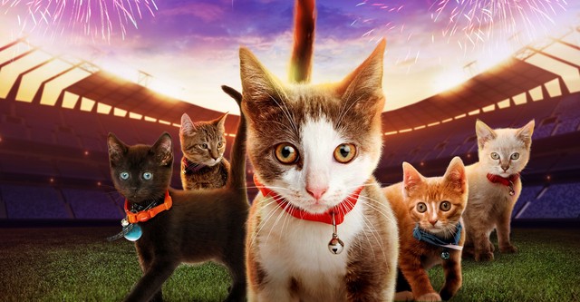 Kitten Bowl VII