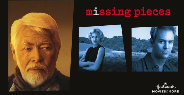 Missing Pieces