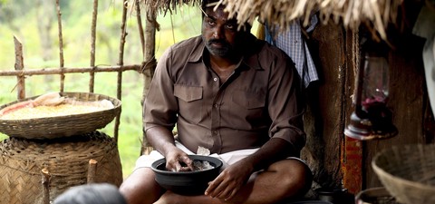 Every Vetrimaaran Movie Ranked and Where to Watch Them