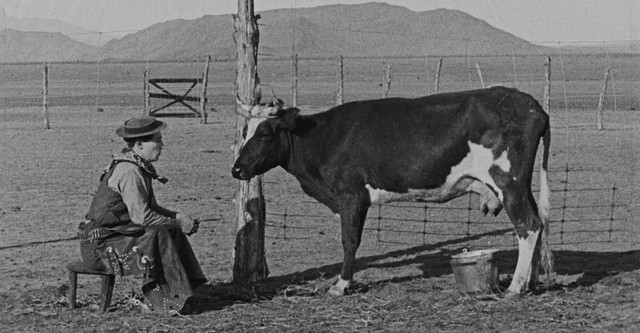 Ma vache et moi