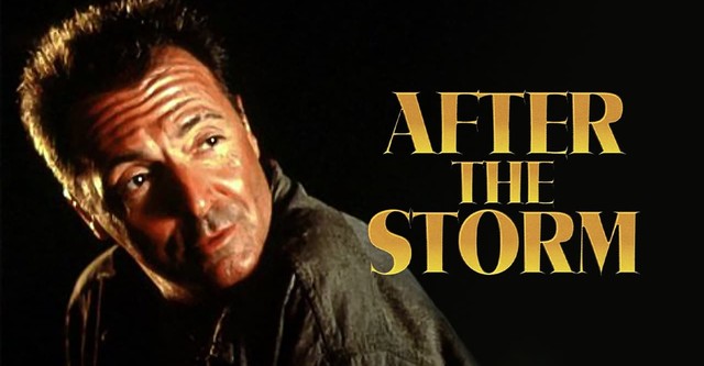 After the storm watch online cheap