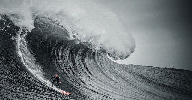 The Secret Life of Waves