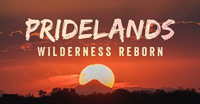 Pridelands: Wilderness Reborn