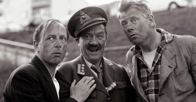 Nydelige nelliker