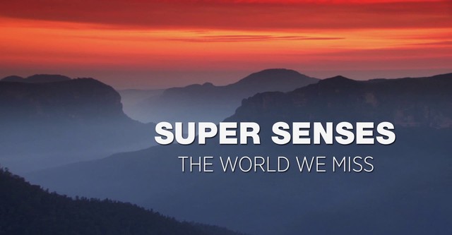 Super Senses