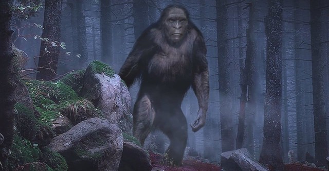 On the Trail of Bigfoot: The Journey