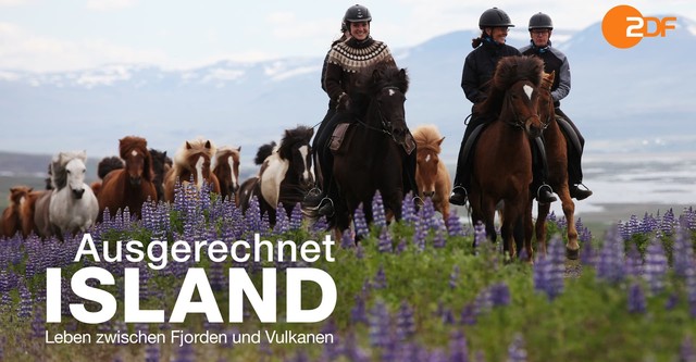 Ausgerechnet Island - Leben zwischen Fjorden und Vulkanen