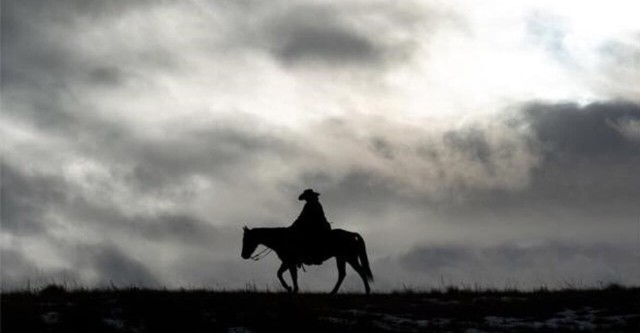 Bring on the Dancing Horses - Die Killerin vor der Tür