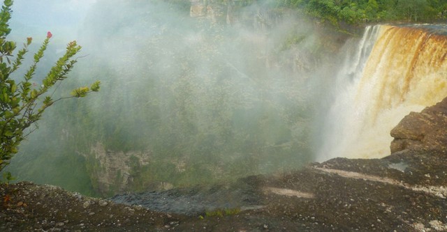 Febre do Ouro: América do Sul