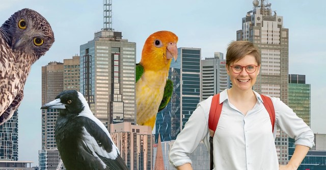 The Secret Lives of Our Urban Birds