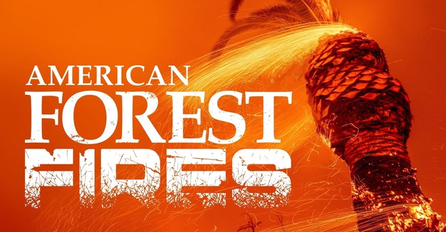 American Forest Fires: The Untold Story