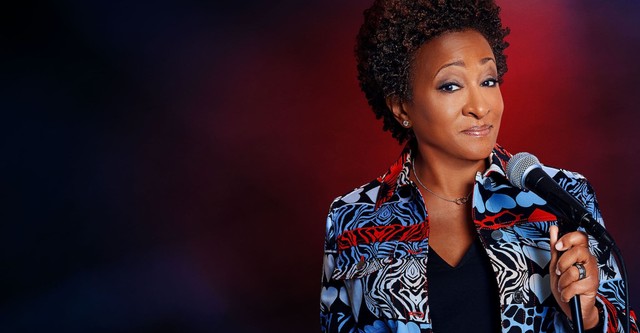 Wanda Sykes: I'm an Entertainer