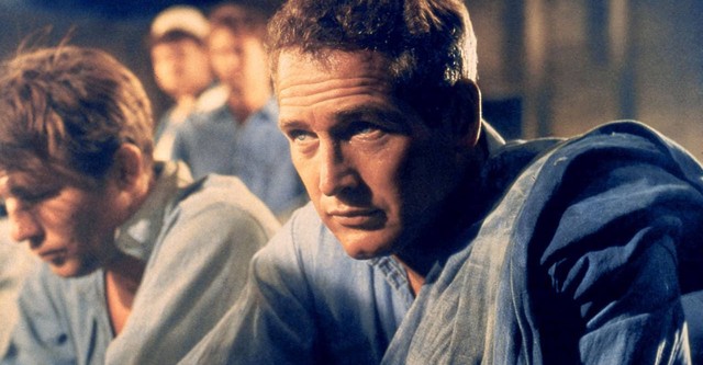 La leyenda de Paul Newman