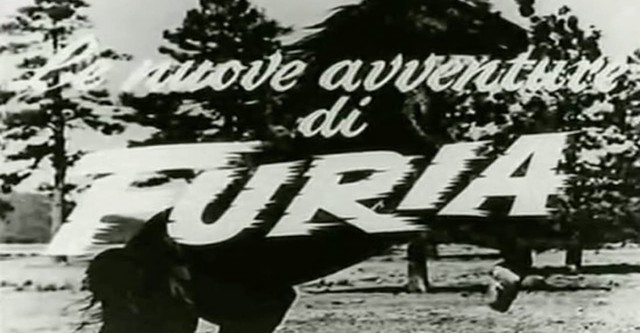 Le nuove avventure di Furia