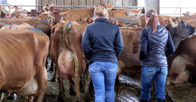 Milk Men: The Life and Times of Dairy Farmers