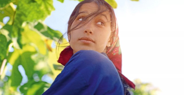 İncir Ağaçlarının Altında