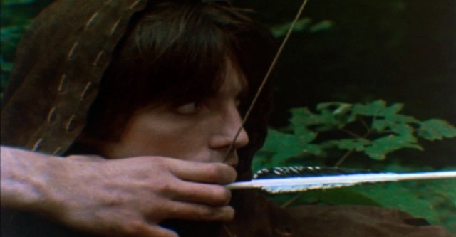 Robin of Sherwood