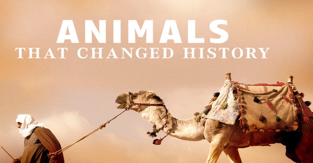 Animals That Changed History