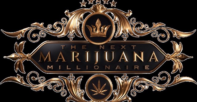 The Next Marijuana Millionaire