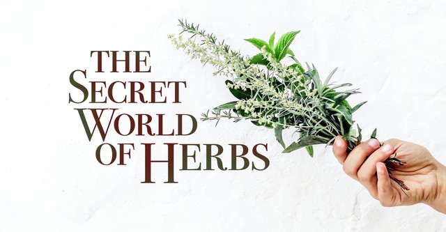 The Secret World of Herbs