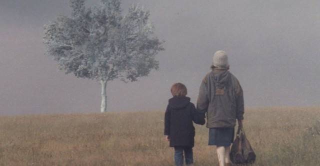 Paesaggio nella nebbia