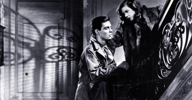 Von Anfang an war Liebe