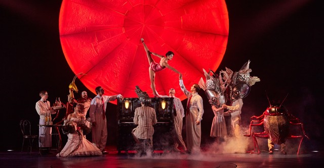 Cirque du Soleil: Luzia