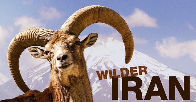 Wilder Iran