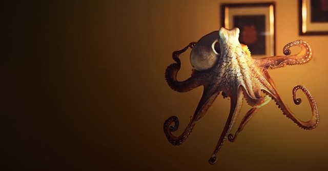 Une pieuvre dans mon salon
