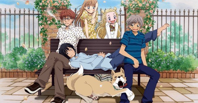 Honey and Clover