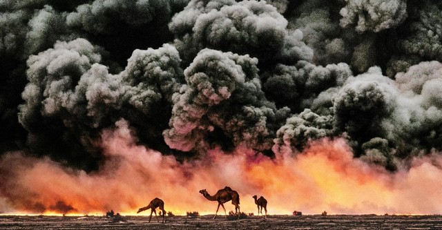 McCurry, la búsqueda del color