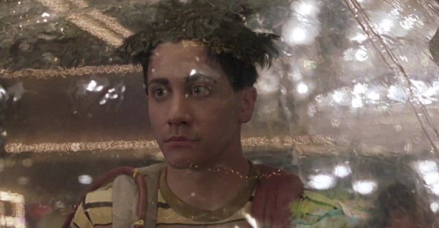 Bubble Boy (El Chico de la Burbuja)