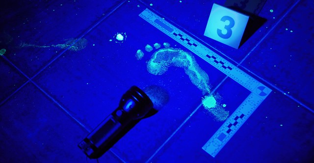 Medical Detectives – Geheimnisse der Gerichtsmedizin