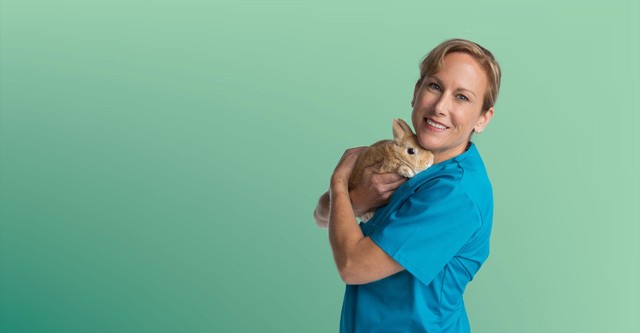 Dr k's hotsell animal er