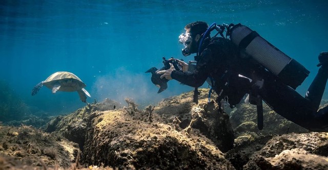 Mediterráneo: un mar en peligro (Serie de TV)