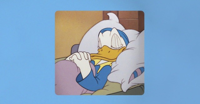 Bonne Nuit Donald