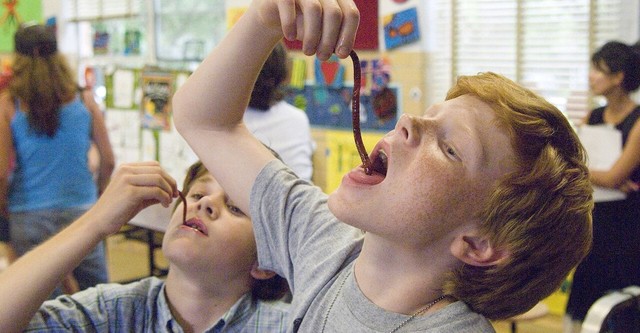 How to Eat Fried Worms