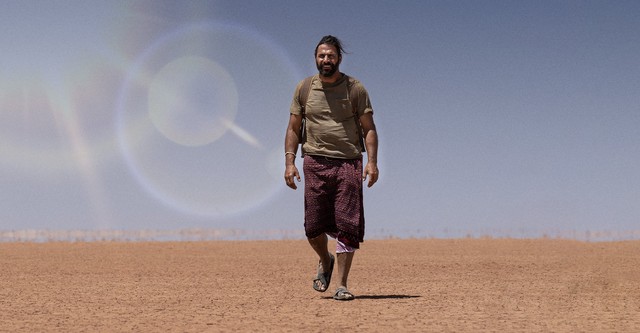 Umění přežít: Africké safari