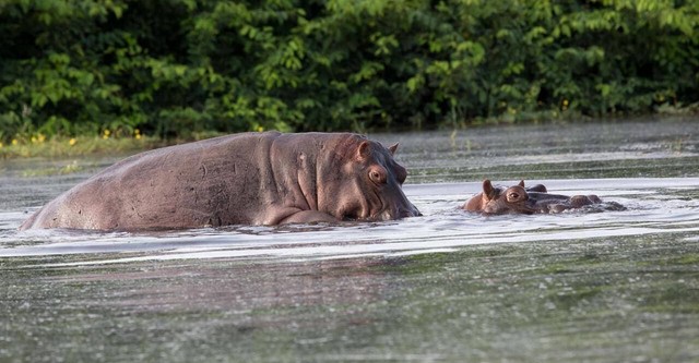 Les nouveaux sanctuaires de la nature