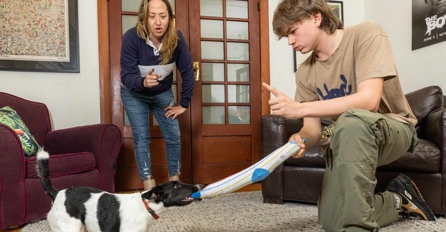 Dogs Behaving (Very) Badly Australia