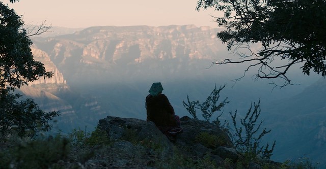 The Woman of Stars and Mountains
