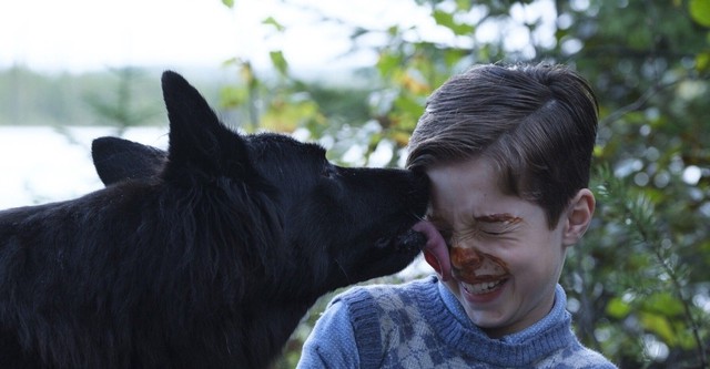 Jules au pays d'Asha